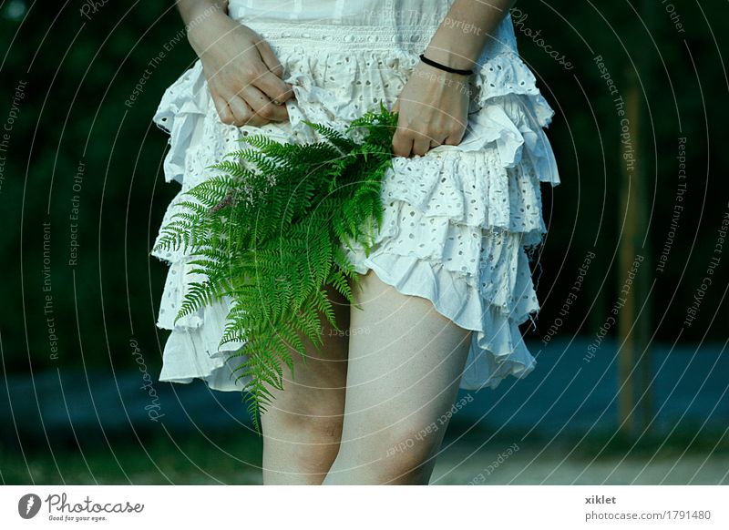 Farne Frau Beine weiß Kleid Pflanze verstecken dünn Rüschen Erotik Hand grün Stil Natur Knie selbstbewußt Witz Hochzeit Junge Frau Beautyfotografie
