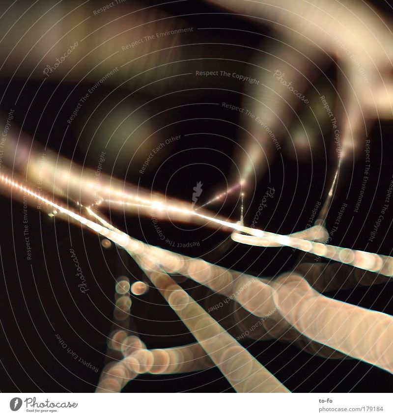 Im Netz 2 Farbfoto Makroaufnahme Kunstlicht Kontrast Lichterscheinung Schwache Tiefenschärfe Tier Spinne Netzwerk Nähgarn