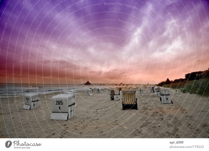 Strandschönheit Farbfoto Außenaufnahme Experiment abstrakt Textfreiraum oben Abend Dämmerung Sonnenlicht Sonnenaufgang Sonnenuntergang Starke Tiefenschärfe