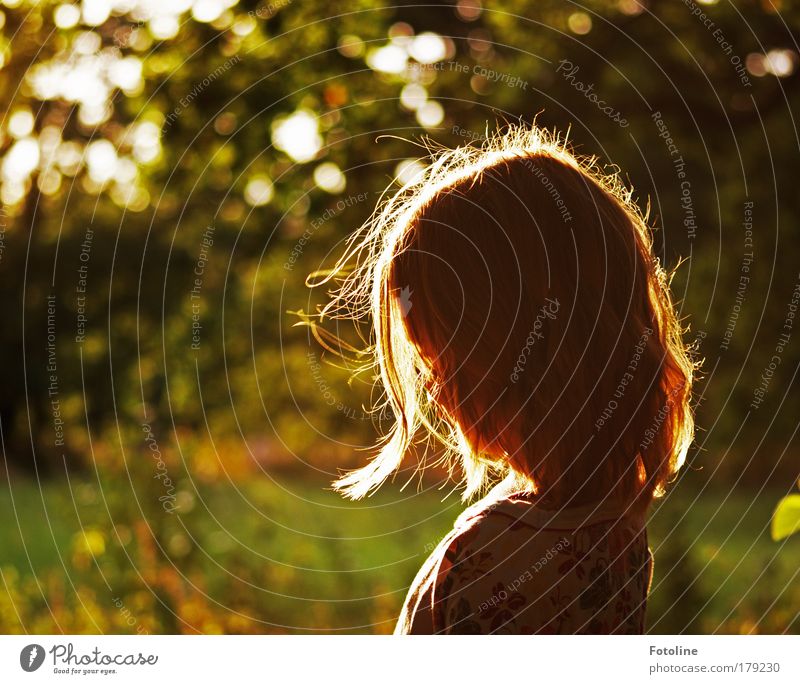 Leonie Farbfoto Außenaufnahme Tag Abend Schatten Silhouette Kind Mädchen Kopf Haare & Frisuren Umwelt Natur Landschaft Pflanze Schönes Wetter Baum Gras