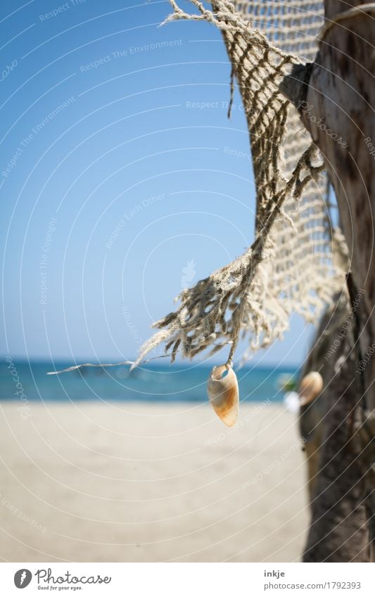 leichte Brise Wolkenloser Himmel Sommer Schönes Wetter Wind Strand Fischernetz Muschel hängen frisch hell einzigartig maritim blau Freizeit & Hobby Kreativität