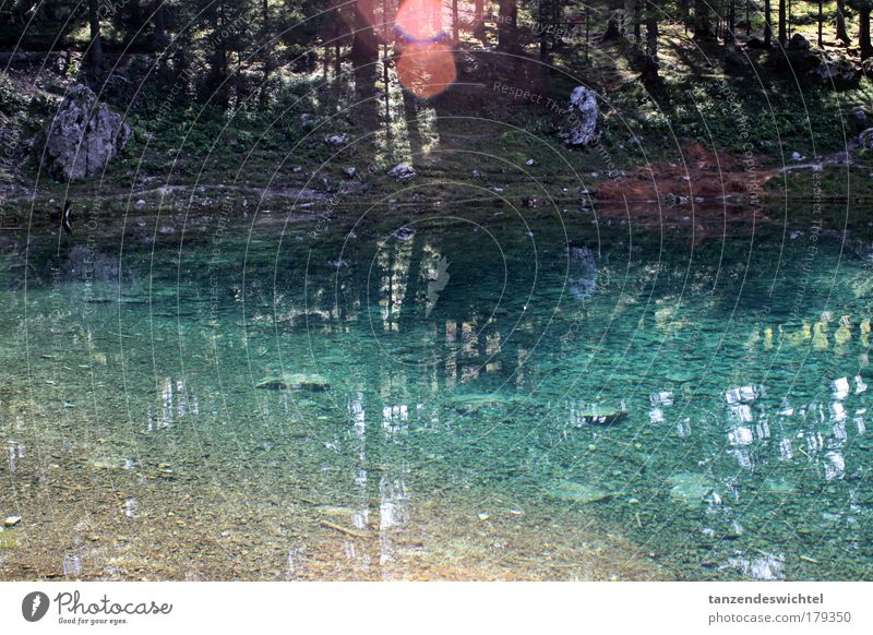 Grüner See, eiskalt! Farbfoto Außenaufnahme Reflexion & Spiegelung Sonnenstrahlen Natur Wasser Schönes Wetter Baum Berge u. Gebirge ästhetisch nass blau grün