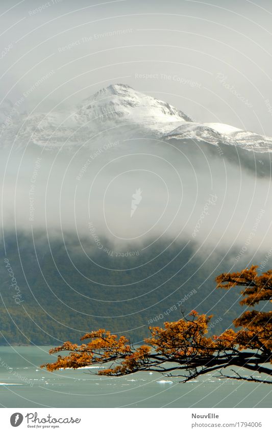 Unterwegs in Patagonien Perito Moreno Gletscher Argentinien reisen Berge u. Gebirge Herbst Nebel