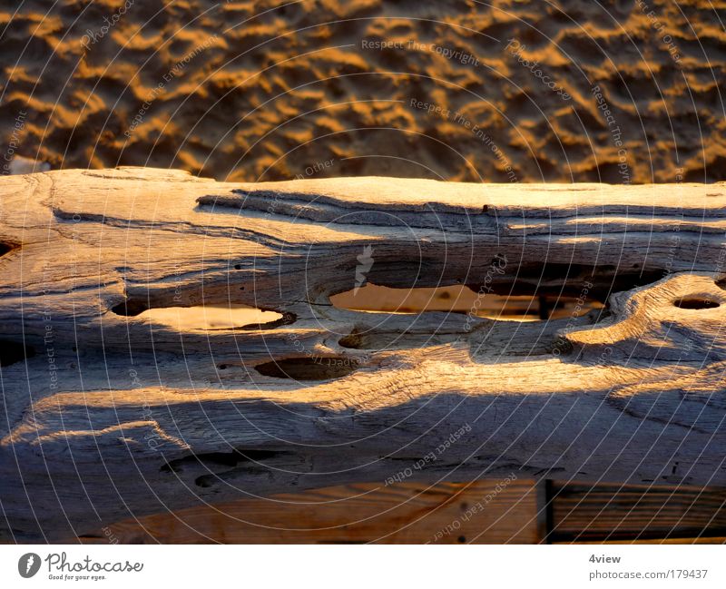 Strand gut! Farbfoto Außenaufnahme Strukturen & Formen Menschenleer Dämmerung Schatten Kontrast Sonnenlicht Sonnenaufgang Sonnenuntergang Schwache Tiefenschärfe