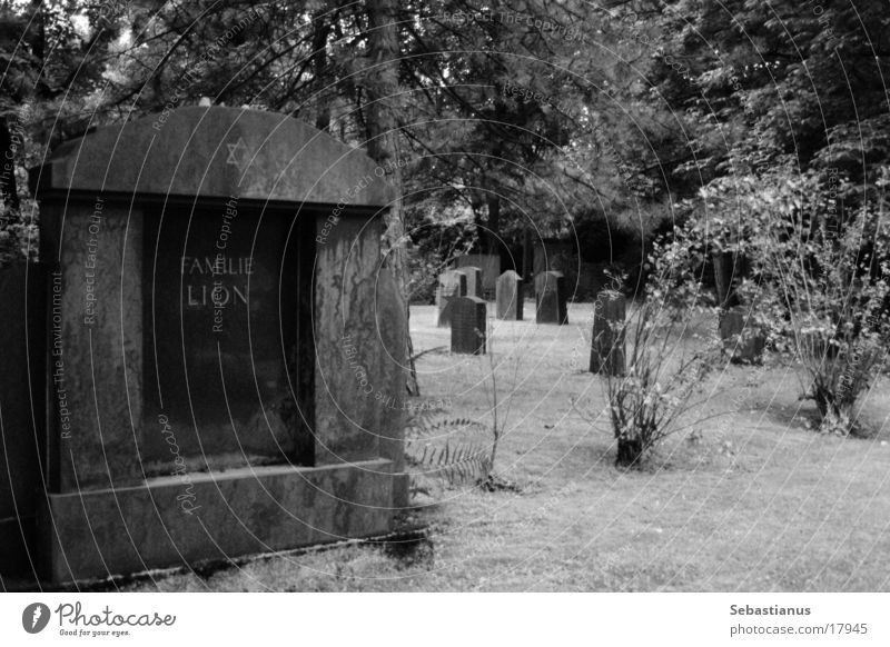 Familie Lion Friedhof Grabstein historisch Schwarzweißfoto Tod