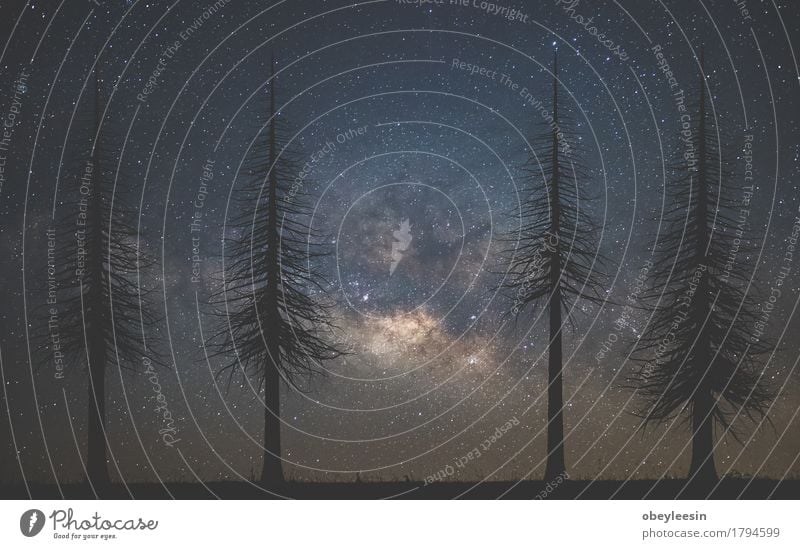 Milchstraße Ferien & Urlaub & Reisen Abenteuer Umwelt Himmel Nachthimmel Stern Außenaufnahme Menschenleer Silhouette
