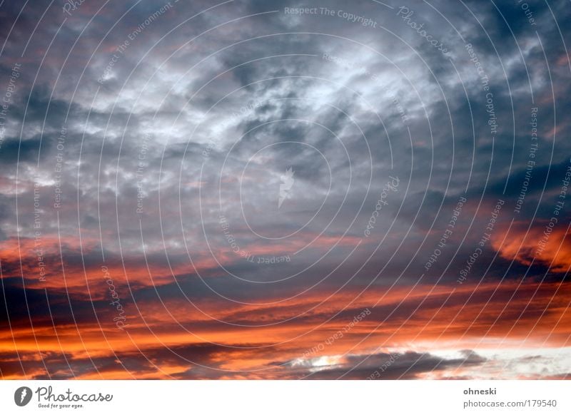 Plätzchen backen Farbfoto Außenaufnahme Dämmerung Kontrast Sonnenaufgang Sonnenuntergang Umwelt Natur Luft Himmel Wolken Gewitterwolken Herbst Klima Wetter