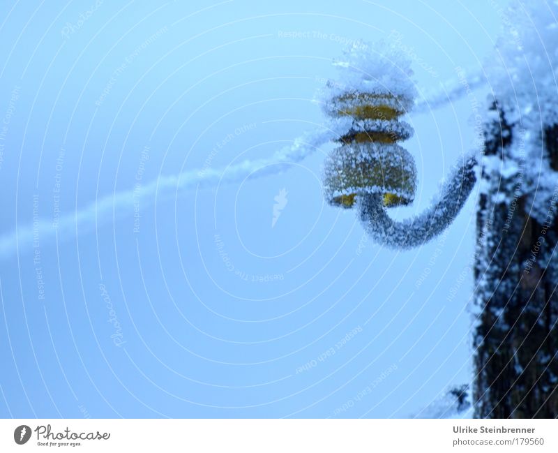 Eiskristalle auf dem Isolator eines Weidezauns Farbfoto Außenaufnahme Menschenleer Textfreiraum unten Tag Kabel Energiewirtschaft Winter Frost Feld Nutztier