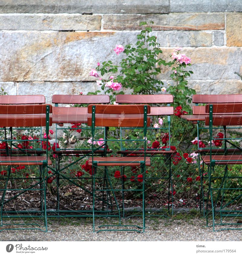 In kleiner Runde Stuhl Tisch Rose Mauer Sandstein Kies Erholung Pause Café nebeneinander umgänglich Menschenleer begegnen Tag