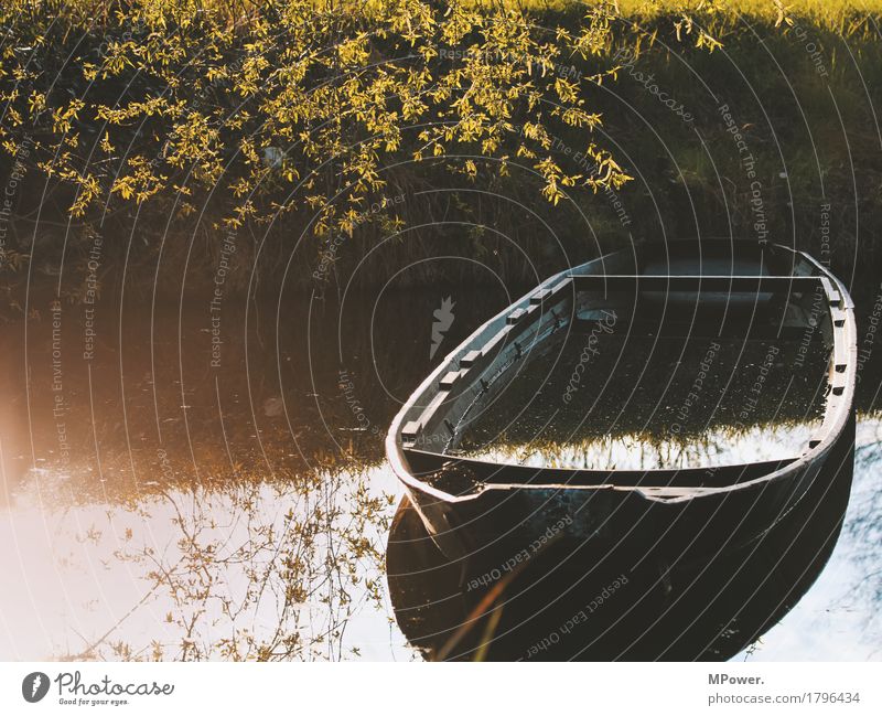 fischerboot Natur Herbst Pflanze Seeufer Flussufer nass Wasserfahrzeug Spree Spreewald untergehen Wasseroberfläche Fischerboot Baum alt kaputt Farbfoto