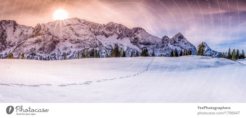 Berggipfel mit Spuren auf Schnee Ferien & Urlaub & Reisen Tourismus Sonne Winter Berge u. Gebirge Natur Landschaft Himmel Schönes Wetter Eis Frost Alpen Gipfel