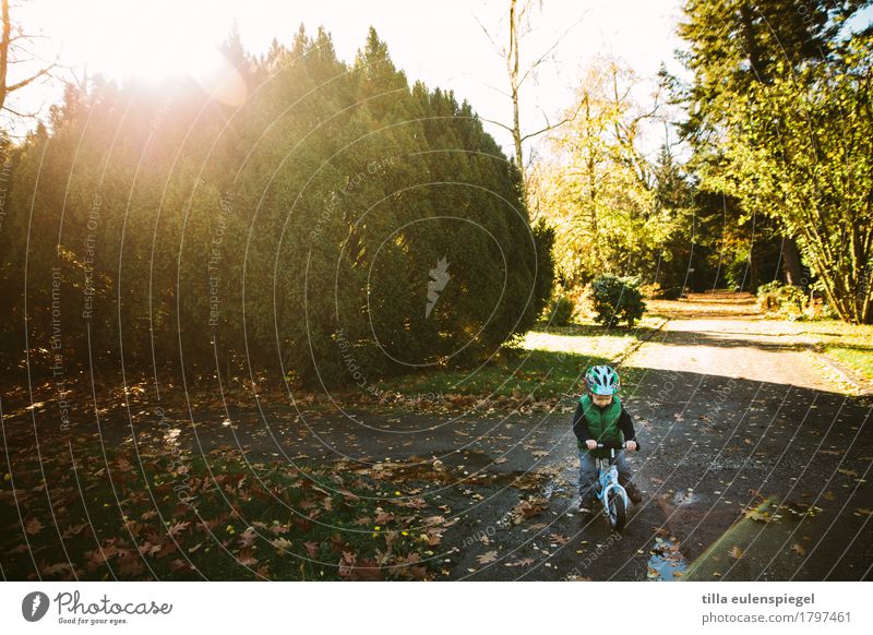 Tiny Freude Freizeit & Hobby Spielen Ausflug Abenteuer Fahrradtour Fahrradfahren Kind Junge Kindheit 1 Mensch Sonnenlicht Herbst Sträucher Park Helm Bewegung