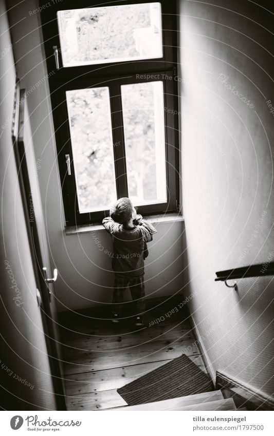 Hallo Welt. Häusliches Leben Kind Junge Kindheit 1 Mensch 3-8 Jahre Haus Treppe beobachten Blick warten dunkel ruhig Neugier Interesse Sehnsucht Heimweh Fernweh