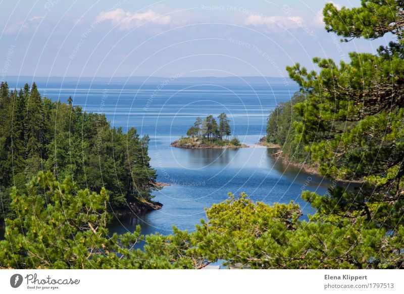 Ladoga-See Natur Landschaft Pflanze Wasser Himmel Wolken Horizont Sommer Wetter Schönes Wetter Baum Wald Küste Meer weiße Meer Insel Valaam Karelia Russland