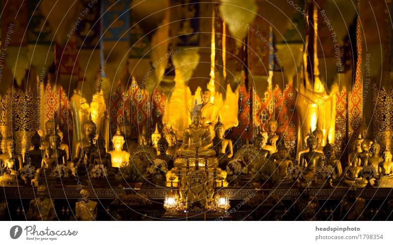 Golden Buddha Tourismus Ausflug Ferne Sightseeing Gebäude Sehenswürdigkeit achtsam Ewigkeit Religion & Glaube Tempel Chiangmai Thailand Stupa Buddhismus Altar