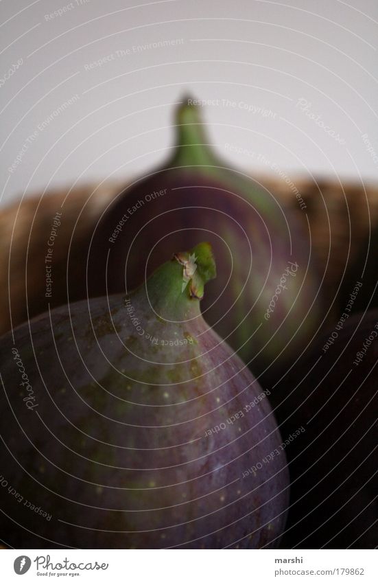 feige Feigen Farbfoto Lebensmittel Frucht Ernährung Natur lecker dunkelgrün violett Unschärfe Feigenbaum Dekoration & Verzierung frisch Pflanze