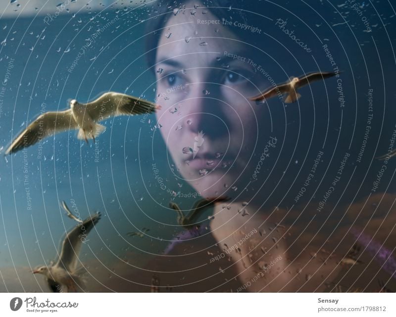 junge Frau in der Depression nahe dem Fenster schön Gesicht Meer Winter Mensch Mädchen Erwachsene Hand Kunst Regen Behaarung Vogel Tropfen Traurigkeit nass