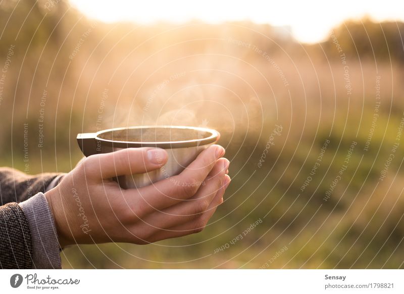 Thermosbecher in der Hand auf Herbsthintergrund Kaffee Tee Freude Sonne Mensch Frau Erwachsene Natur Straße heiß Thermoskanne Flasche Tasse Vakuum Jahreszeiten