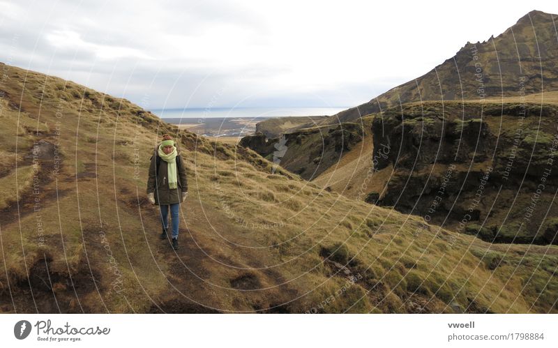 Island Mensch feminin Junge Frau Jugendliche 1 30-45 Jahre Erwachsene laufen wandern Berge Landschaft Natur Aussicht entdecken hiking kalt herbst flaches licht