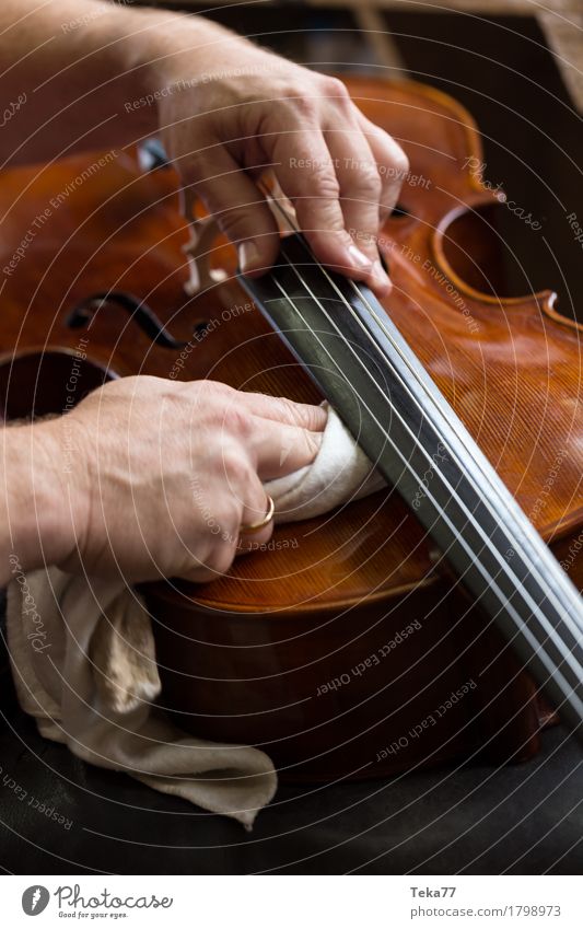 Geigenbau IIIIIII Stil Musik Beruf Handwerker Geigenbauer Arbeitsplatz Mensch ästhetisch Musikinstrument Nahaufnahme Detailaufnahme