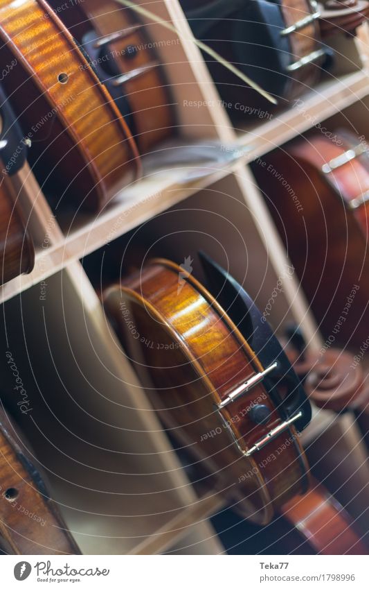 Geigen II Stil Musik Kunst ästhetisch Geigenbau Farbfoto Innenaufnahme Studioaufnahme Nahaufnahme Detailaufnahme Menschenleer