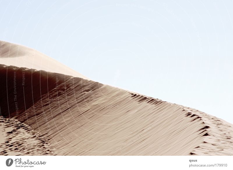 Gratwanderung Wüste Düne Sand Wind Fußspur verloren Wärme Dürre Schattenseite Licht Überbelichtung Kurve Borgen getrampelt schleichen verweht Einsamkeit ruhig