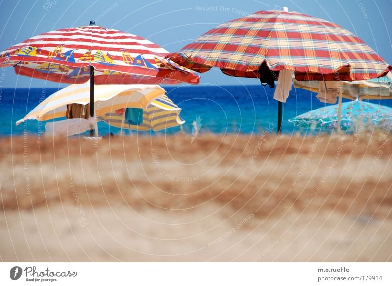 bunt beschirmt Farbfoto Außenaufnahme Menschenleer Licht Starke Tiefenschärfe Zentralperspektive Sand Wasser Himmel Wolkenloser Himmel Sommer Strand Meer