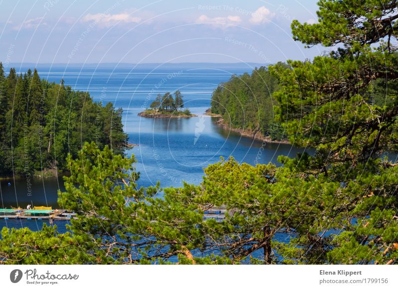 Ladoga-See. Natur Landschaft Pflanze Wasser Himmel Wolken Horizont Sommer Wetter Schönes Wetter Baum Kiefer Wald Gelassenheit ruhig Erholung