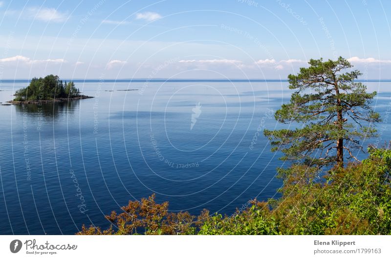 Ladoga-See. Umwelt Natur Landschaft Pflanze Wasser Himmel Wolken Horizont Sommer Wetter Schönes Wetter Baum Kiefer Insel "Valaam Karelia" Russland Gefühle