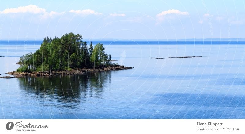 Ladoga-See. Umwelt Natur Landschaft Pflanze Wasser Himmel Wolken Horizont Sommer Wetter Schönes Wetter Baum Insel "Valaam Karelia" Russland Asien Gefühle