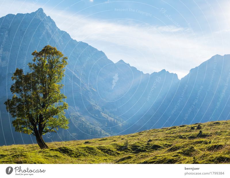 Herbst Umwelt Natur Landschaft Pflanze Luft Himmel Wolken Schönes Wetter Baum Alpen Berge u. Gebirge Gipfel wandern authentisch blau grün Ehrlichkeit Tourismus