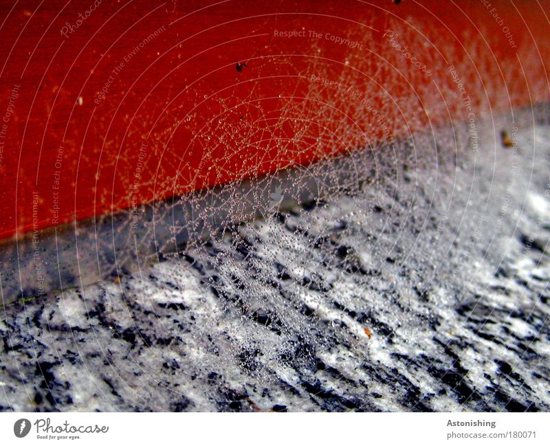 rot - Netz - grau Farbfoto Außenaufnahme abstrakt Muster Strukturen & Formen Menschenleer Textfreiraum oben Textfreiraum unten Tag Licht Schatten Kontrast