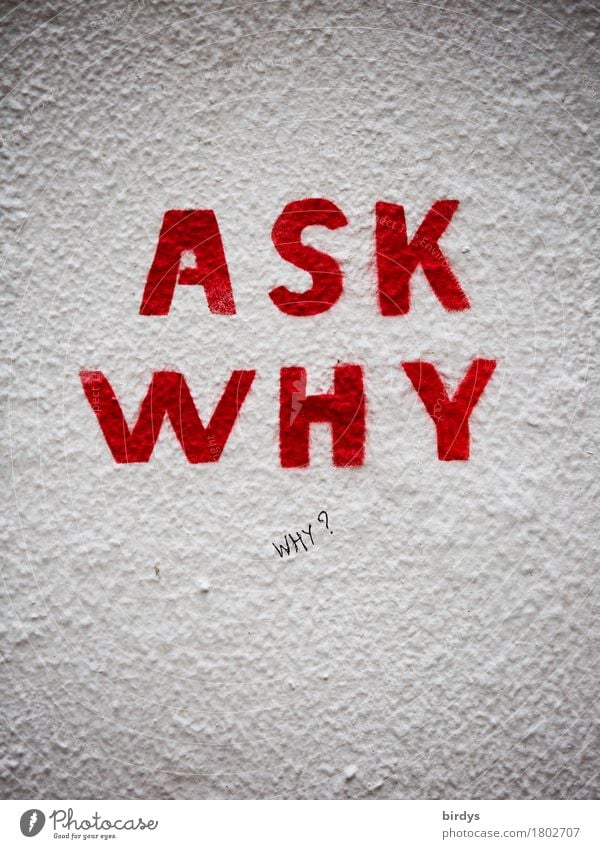 why ?... Kultur Mauer Wand Schriftzeichen Graffiti Denken ästhetisch Neugier rebellisch grau rot weiß Mut Verantwortung Wachsamkeit gewissenhaft Wahrheit