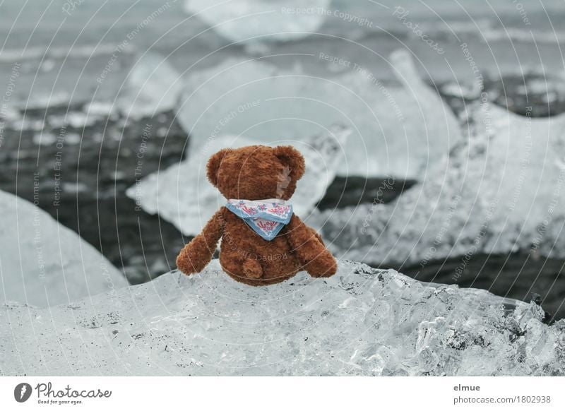 Teddy Per in Island (2) Ferien & Urlaub & Reisen Abenteuer Meer Natur Klimawandel Gletscher Küste Jökulsalon Gletschersee Gletschereis Spielzeug Teddybär