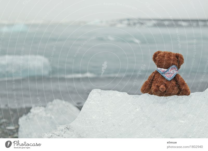 Teddy Per in Island (1) Ferien & Urlaub & Reisen Wasser Klimawandel Sturm Eis Frost Küste Jökulsalon Gletschersee Gletschereis Gletscherschmelze Spielzeug