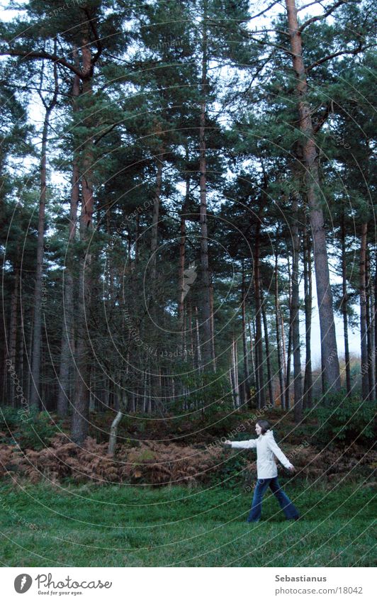Knuffelchen allein im Wald #1 Baum Nadelbaum Frau Herbst Natur Landschaft laufen
