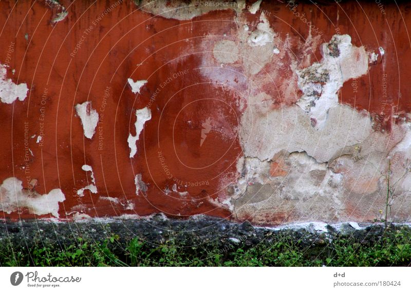 ___ Menschenleer Haus Mauer Wand alt trashig Zerstörung Putz abblättern ungepflegt altrot Bröckchen Schimmelpilze Farbfoto mehrfarbig Außenaufnahme rotbraun