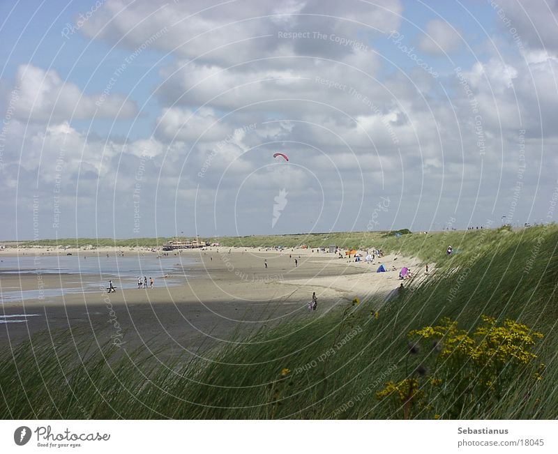 Strand bei Renesse (NL) Wolken Drachenfliegen Gras Sand Stranddüne Wasser Sonne