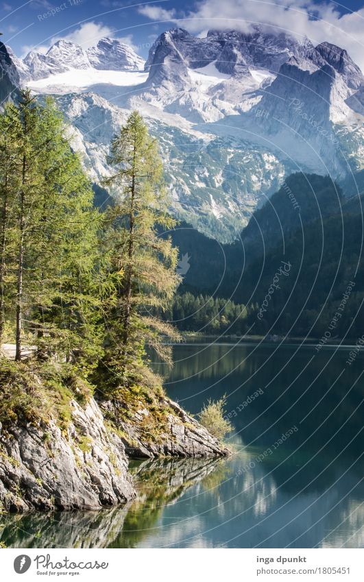 Am See Umwelt Natur Landschaft Pflanze Urelemente Wasser Sommer Herbst Klima Wetter Schönes Wetter Schnee Baum Wald Alpen Berge u. Gebirge Seeufer Gosau