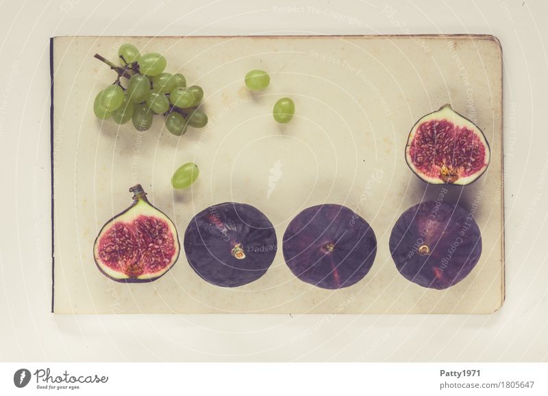 Trauben und Feigen Lebensmittel Frucht Weintrauben Ernährung Vegetarische Ernährung Papier Zettel frisch Gesundheit retro rund saftig süß grün violett rot