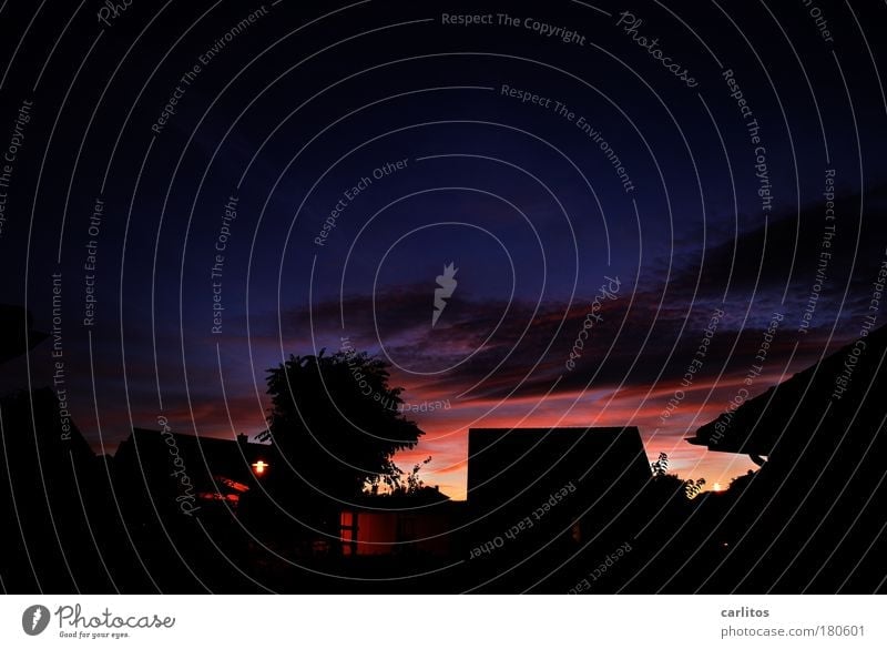 Sonnenuntergänge haben's schwer ... Farbfoto Außenaufnahme Menschenleer Textfreiraum oben Dämmerung Nacht Silhouette Langzeitbelichtung Starke Tiefenschärfe
