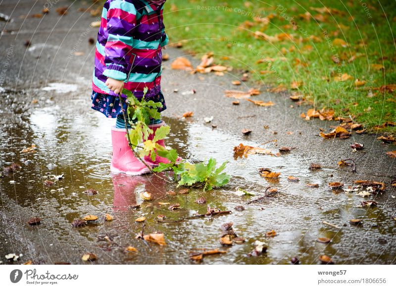 Regentrude II Ausflug Mensch Kind Kleinkind Mädchen 1 1-3 Jahre Herbst Park Spielen nass mehrfarbig Freude herbstlich Pfütze Reflexion & Spiegelung feuchtkalt