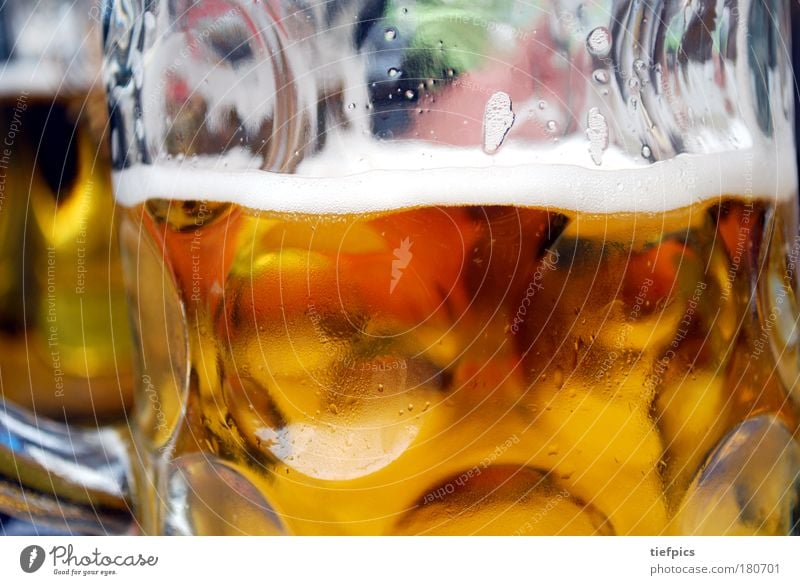 oans, zwoa, gsuffa. Textfreiraum oben Getränk trinken Alkohol Bier Glas Freude Nachtleben Veranstaltung ausgehen Feste & Feiern Gastronomie frisch kalt gold