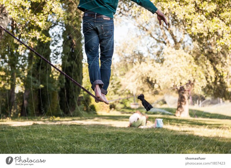Füße, Seil, Slacking Gleichgewicht Slacklinen Seiltänzer Mann Fuß Beine 18-30 Jahre 1 Mensch Schönes Wetter Park Baum Avignon Stadt Jeanshose Barfuß Gurt