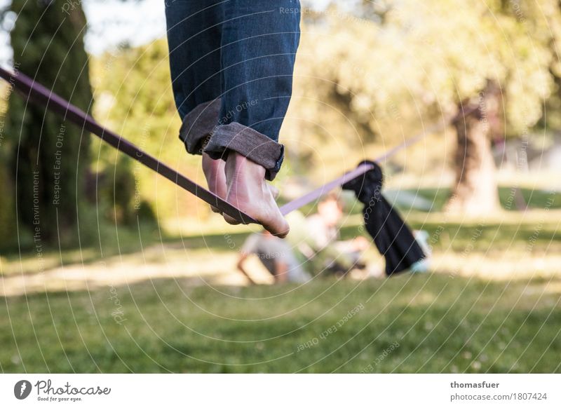 Seil, Füße, Slacking Gleichgewicht Slacklinen Seiltänzer Mann Fuß Beine 18-30 Jahre 1 Mensch Schönes Wetter Park Baum Avignon Stadt Jeanshose Barfuß Gurt