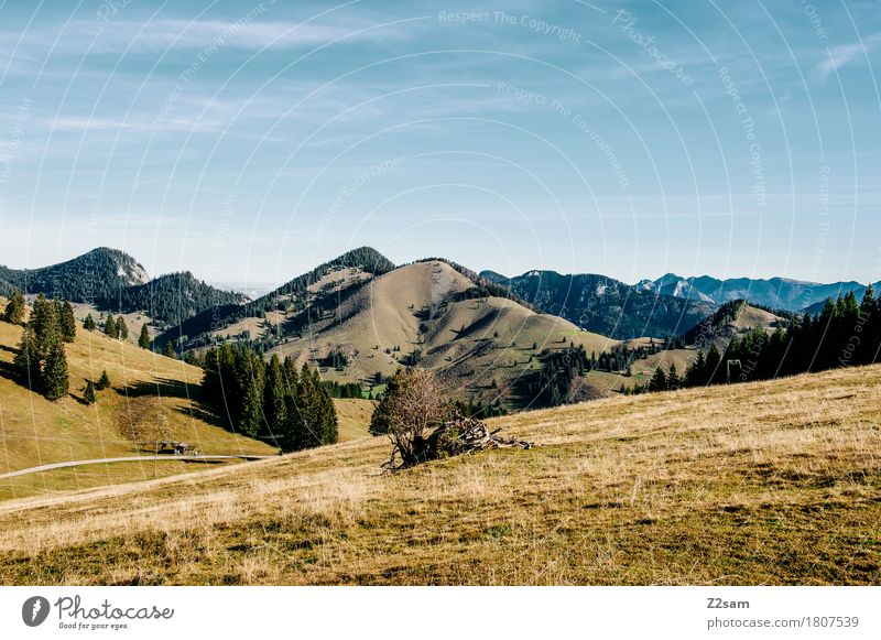Sudelfeld wandern Natur Landschaft Himmel Sommer Schönes Wetter Wiese Alpen Berge u. Gebirge Unendlichkeit nachhaltig natürlich Erholung Horizont Idylle