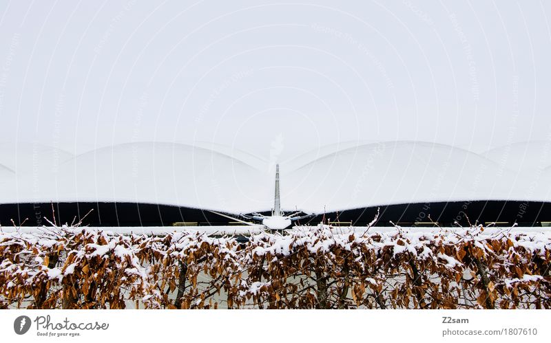 moderne Hügel Winter Landschaft schlechtes Wetter Eis Frost Schnee Sträucher ästhetisch einfach kalt trist weiß Design einzigartig Surrealismus Symmetrie Dach