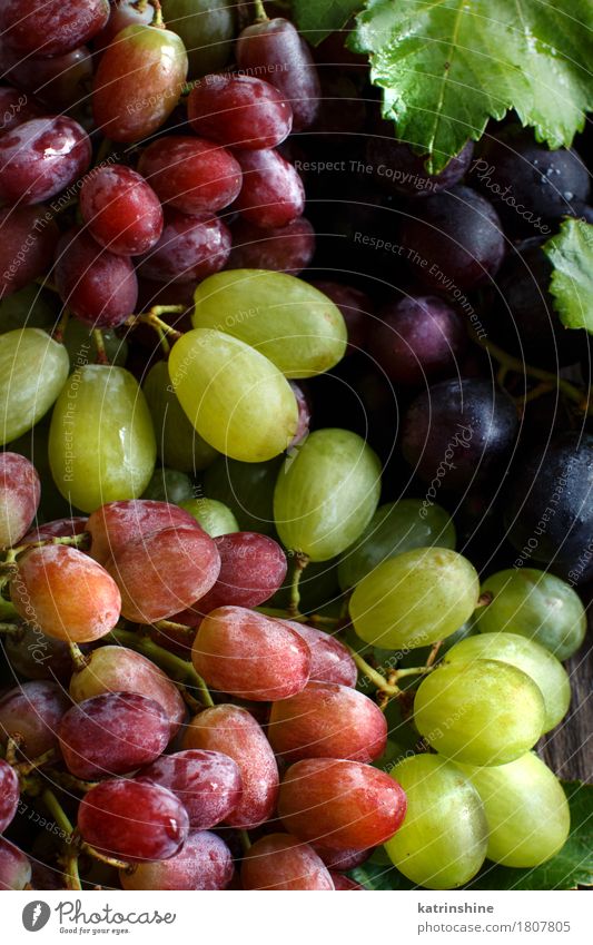 Drei Arten von Trauben Frucht Ernährung Tisch Holz dunkel frisch blau grün rot Ackerbau Beeren Lebensmittel Weintrauben Weinrebe Ernte Gesundheit organisch reif