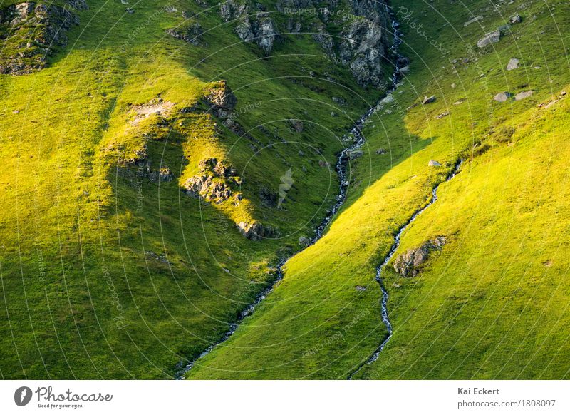 Mountain stream Natur Landschaft Wasser Sonnenaufgang Sonnenuntergang Sommer Gras Felsen Alpen Berge u. Gebirge Bach entdecken Erholung Ferien & Urlaub & Reisen