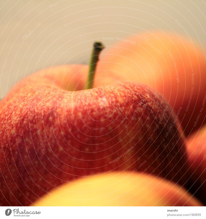 an apple a day keeps the doctor away! Farbfoto Nahaufnahme Detailaufnahme Unschärfe Schwache Tiefenschärfe Lebensmittel Frucht Apfel Ernährung Bioprodukte